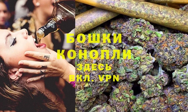 ГАЛЛЮЦИНОГЕННЫЕ ГРИБЫ Алексин